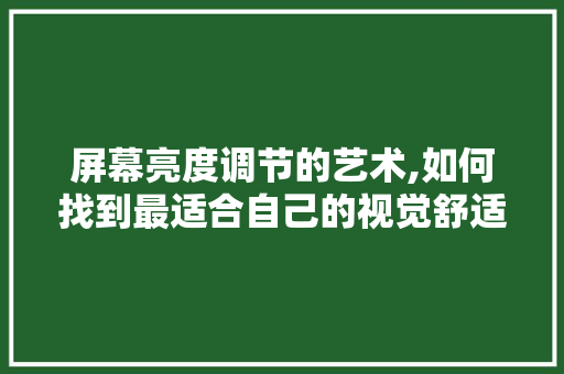 屏幕亮度调节的艺术,如何找到最适合自己的视觉舒适区