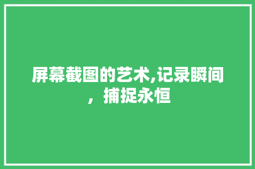 屏幕截图的艺术,记录瞬间，捕捉永恒
