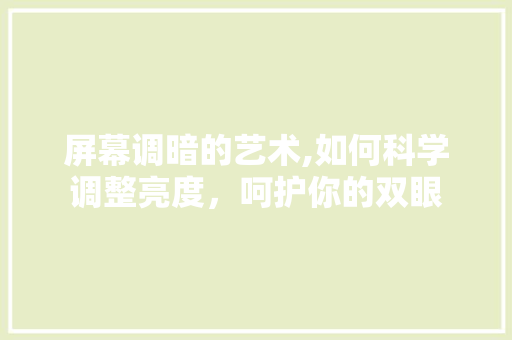 屏幕调暗的艺术,如何科学调整亮度,呵护你的双眼 屏幕调暗的艺术,如何科学调整亮度,呵护你的双眼