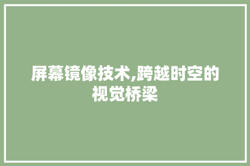 屏幕镜像技术,跨越时空的视觉桥梁 屏幕镜像技术,跨越时空的视觉桥梁