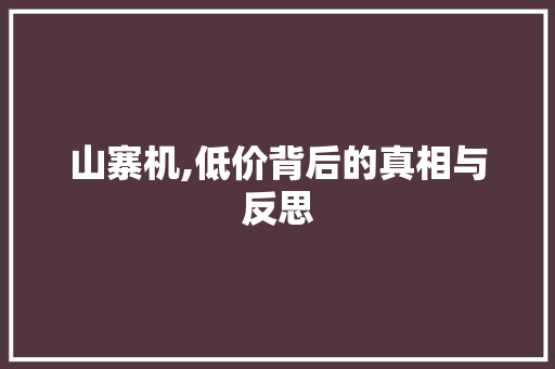山寨机,低价背后的真相与反思