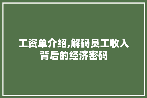 工资单介绍,解码员工收入背后的经济密码