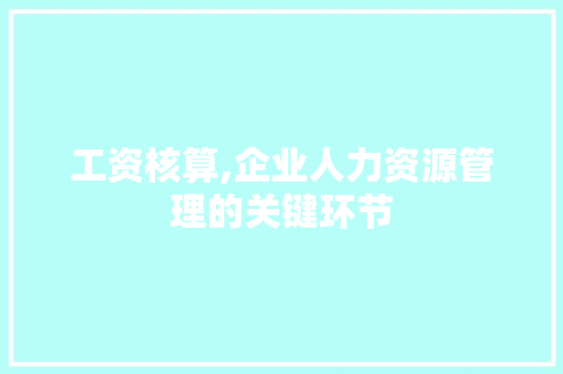 工资核算,企业人力资源管理的关键环节