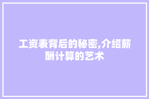 工资表背后的秘密,介绍薪酬计算的艺术