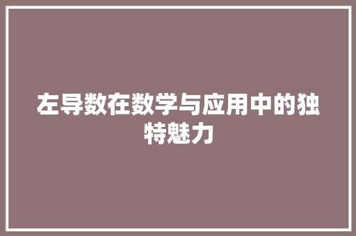 左导数在数学与应用中的独特魅力