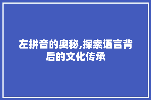 左拼音的奥秘,探索语言背后的文化传承