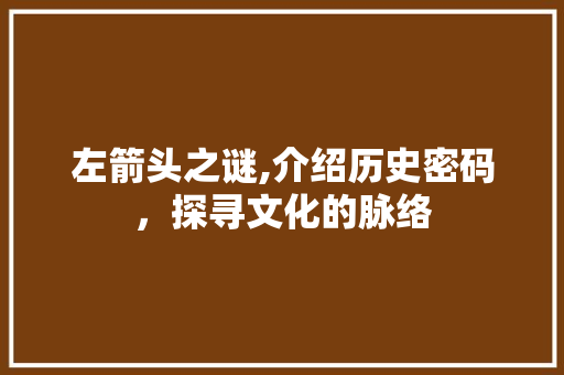 左箭头之谜,介绍历史密码，探寻文化的脉络