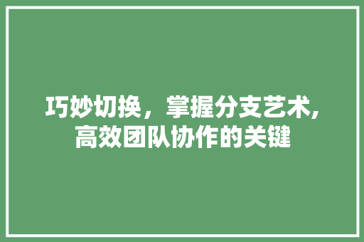 巧妙切换，掌握分支艺术,高效团队协作的关键