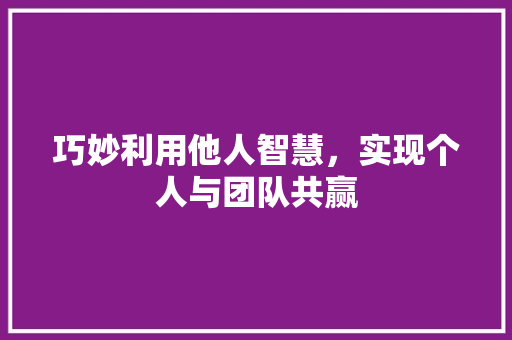 巧妙利用他人智慧，实现个人与团队共赢