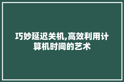 巧妙延迟关机,高效利用计算机时间的艺术