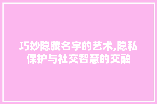 巧妙隐藏名字的艺术,隐私保护与社交智慧的交融