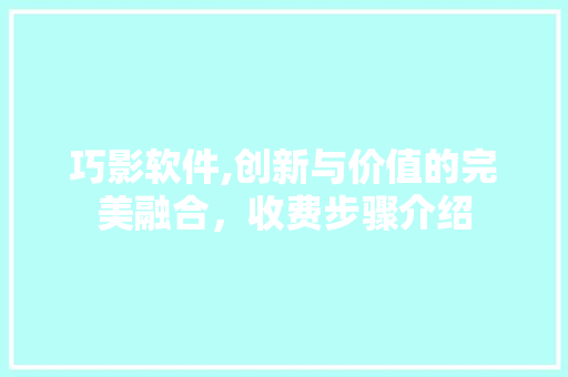 巧影软件,创新与价值的完美融合，收费步骤介绍