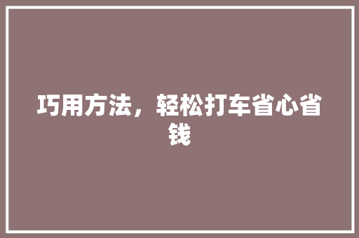 巧用方法，轻松打车省心省钱 服务器/数据库