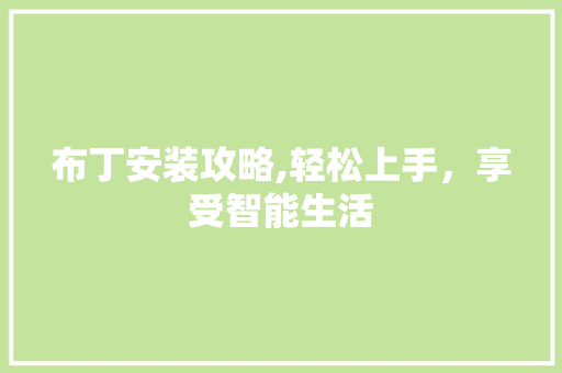 布丁安装攻略,轻松上手，享受智能生活