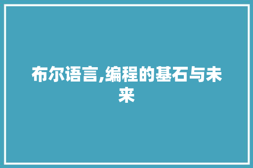 布尔语言,编程的基石与未来