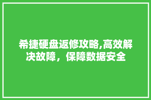 希捷硬盘返修攻略,高效解决故障，保障数据安全