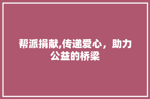 帮派捐献,传递爱心，助力公益的桥梁