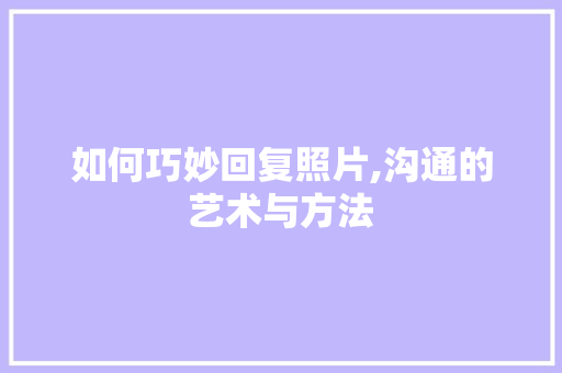 如何巧妙回复照片,沟通的艺术与方法