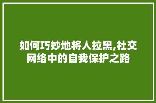 如何巧妙地将人拉黑,社交网络中的自我保护之路 友链在线