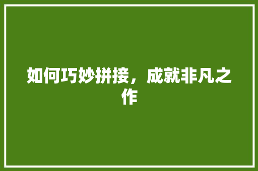 如何巧妙拼接，成就非凡之作
