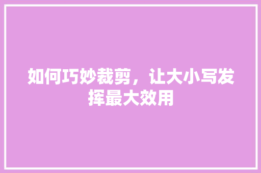 如何巧妙裁剪，让大小写发挥最大效用 SEO教程