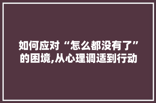 如何应对“怎么都没有了”的困境,从心理调适到行动指南 WordPress教程