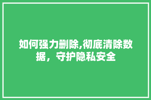 如何强力删除,彻底清除数据，守护隐私安全