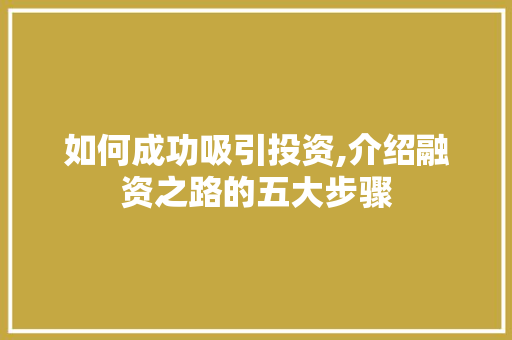 如何成功吸引投资,介绍融资之路的五大步骤