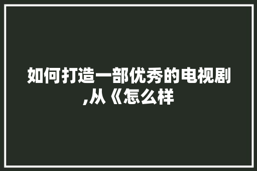 如何打造一部优秀的电视剧,从《怎么样