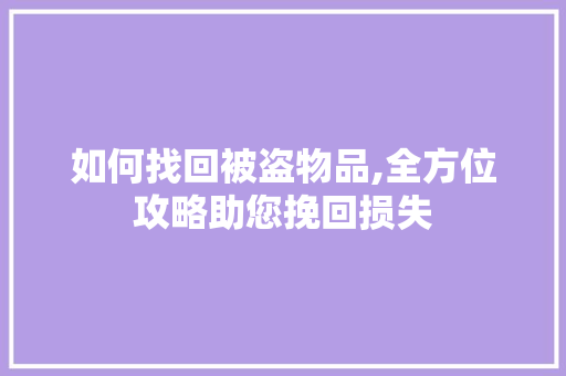 如何找回被盗物品,全方位攻略助您挽回损失