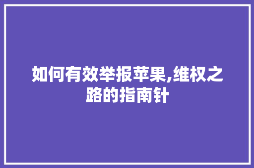 如何有效举报苹果,维权之路的指南针