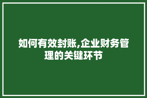 如何有效封账,企业财务管理的关键环节