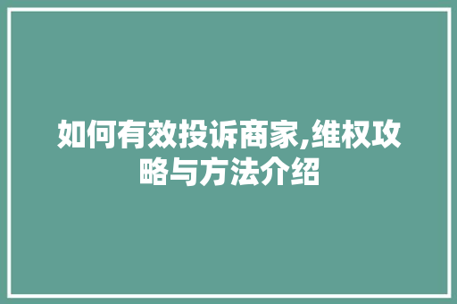 如何有效投诉商家,维权攻略与方法介绍