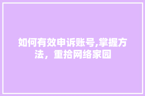 如何有效申诉账号,掌握方法，重拾网络家园