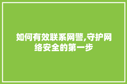 如何有效联系网警,守护网络安全的第一步