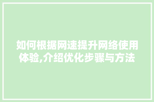 如何根据网速提升网络使用体验,介绍优化步骤与方法