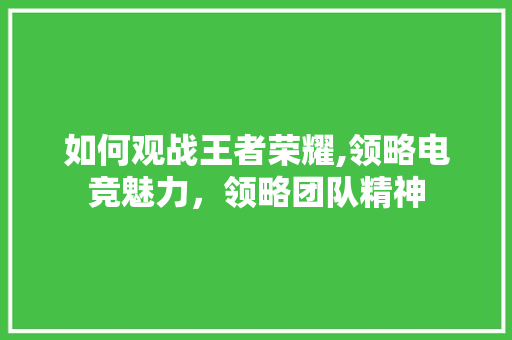 如何观战王者荣耀,领略电竞魅力，领略团队精神