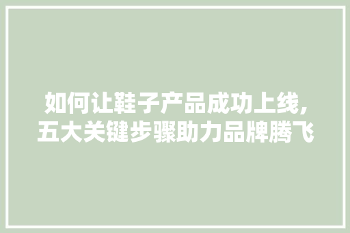 如何让鞋子产品成功上线,五大关键步骤助力品牌腾飞