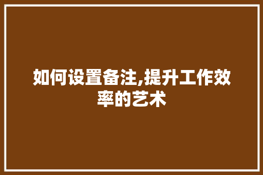 如何设置备注,提升工作效率的艺术