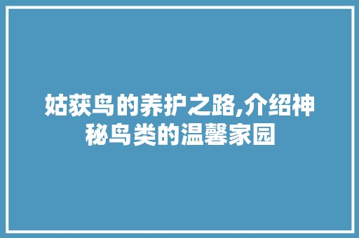 姑获鸟的养护之路,介绍神秘鸟类的温馨家园 WordPress教程