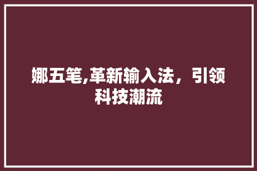 娜五笔,革新输入法，引领科技潮流