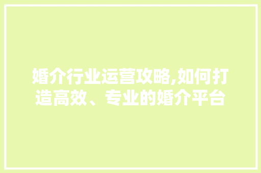 婚介行业运营攻略,如何打造高效、专业的婚介平台