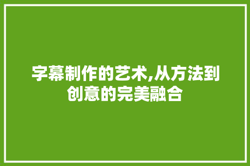 字幕制作的艺术,从方法到创意的完美融合