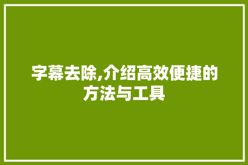 字幕去除,介绍高效便捷的方法与工具