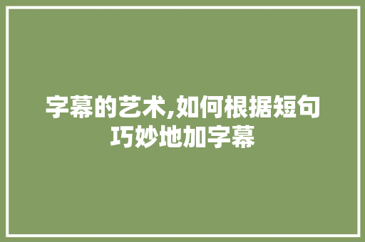 字幕的艺术,如何根据短句巧妙地加字幕