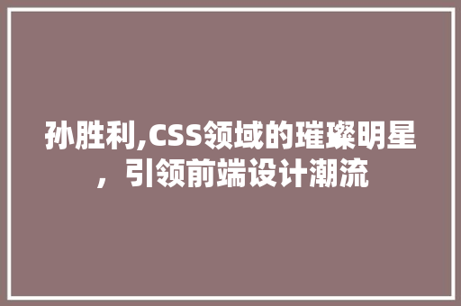 孙胜利,CSS领域的璀璨明星，引领前端设计潮流