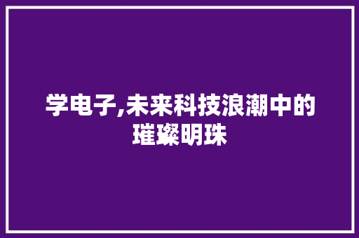 学电子,未来科技浪潮中的璀璨明珠 SEO教程