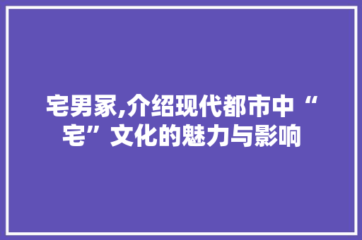 宅男冢,介绍现代都市中“宅”文化的魅力与影响