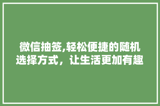 微信抽签,轻松便捷的随机选择方式，让生活更加有趣 服务器/数据库