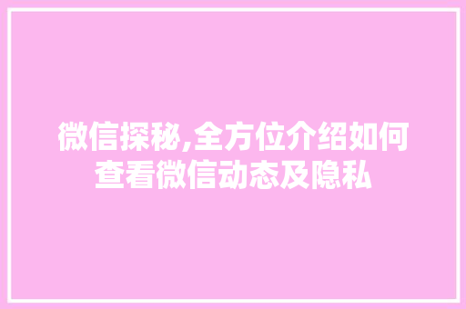 微信探秘,全方位介绍如何查看微信动态及隐私 Web前端